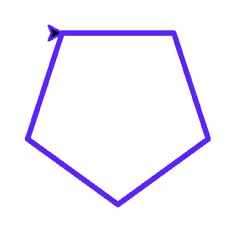 Pentagon narysowany Turtle