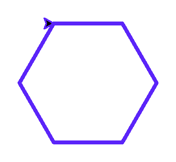 Hexagon narysował Turtle